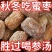 精选有核金丝蜜枣零食粽子煲汤甜点蜜饯批发新货干蜜枣老牌子