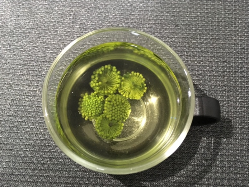 田七花头茬三七花正宗云南文山三七花田七花