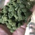 田七花头茬三七花正宗云南文山三七花田七花