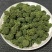 田七花头茬三七花正宗云南文山三七花田七花