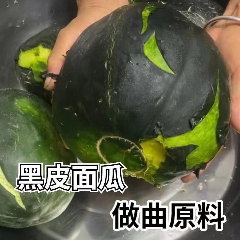 传统纯手工制作酵母引子发面曲头老面酵子面瓜曲