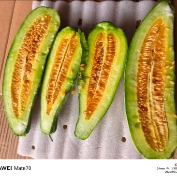 精品羊角蜜农户直发