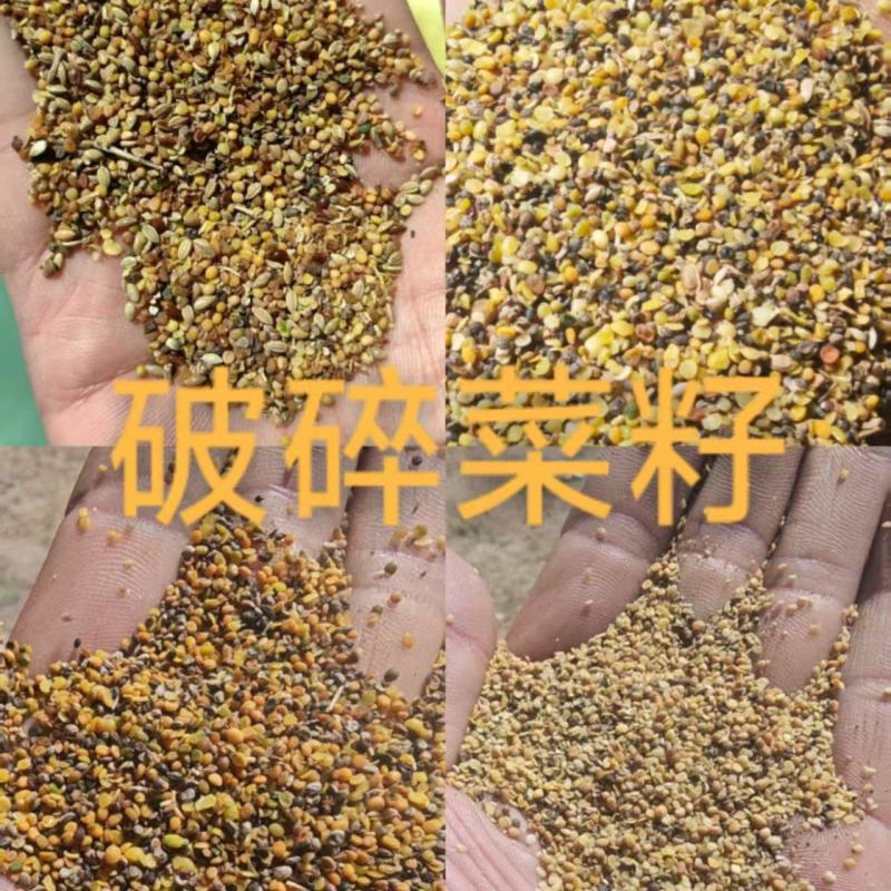 菜籽下脚料