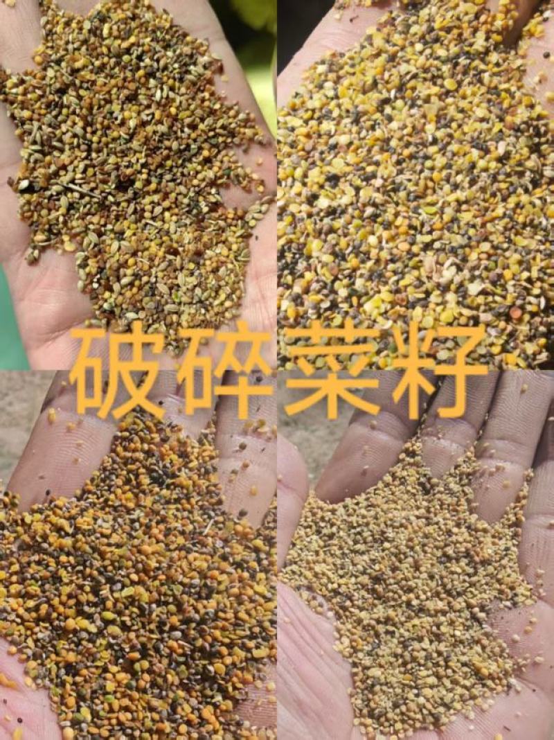 菜籽下脚料