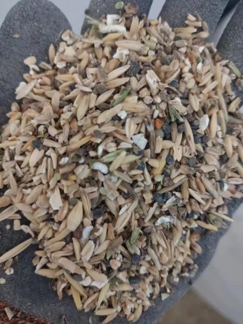 大麦