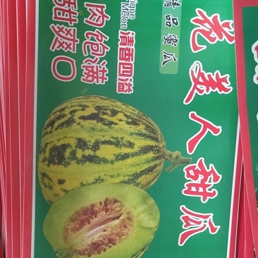 花美人甜瓜