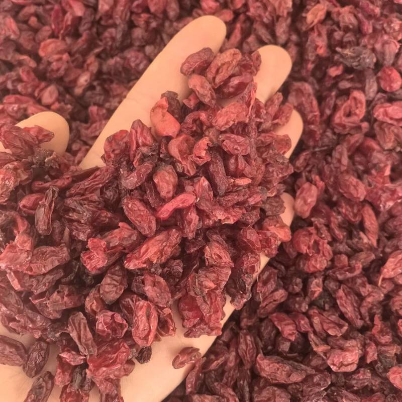 山萸肉山茱萸枣皮选货山茱萸多种规格大货供应