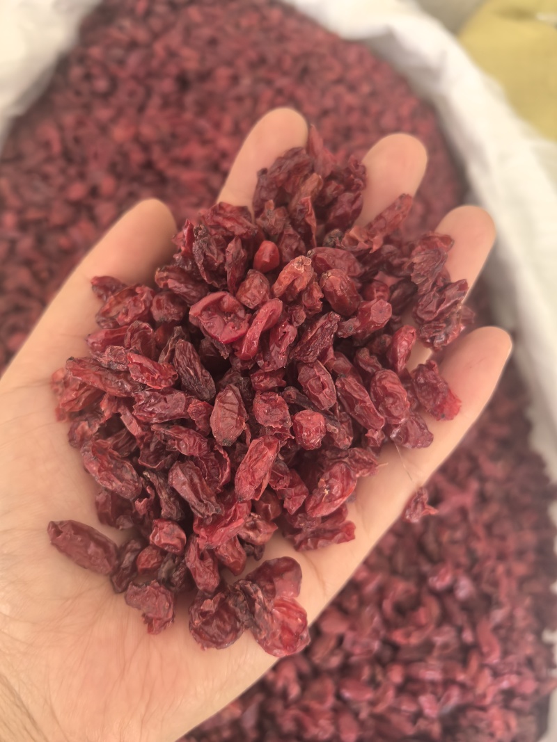 山萸肉山茱萸枣皮选货山茱萸多种规格大货供应