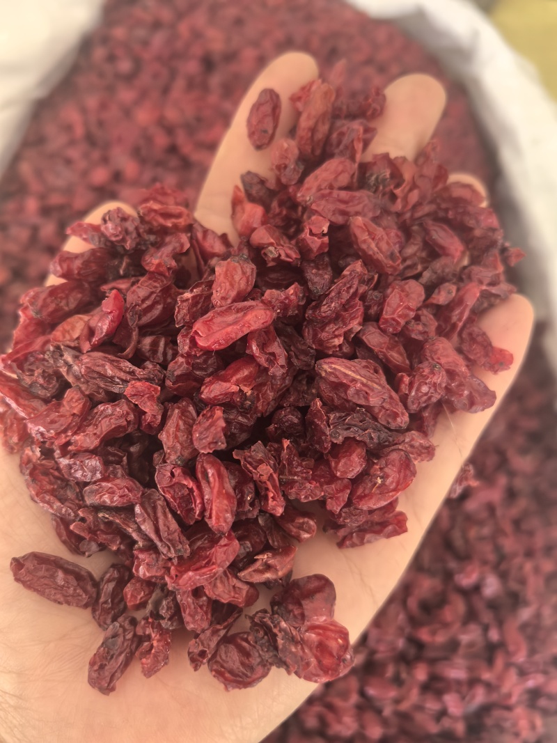 山萸肉山茱萸枣皮选货山茱萸多种规格大货供应