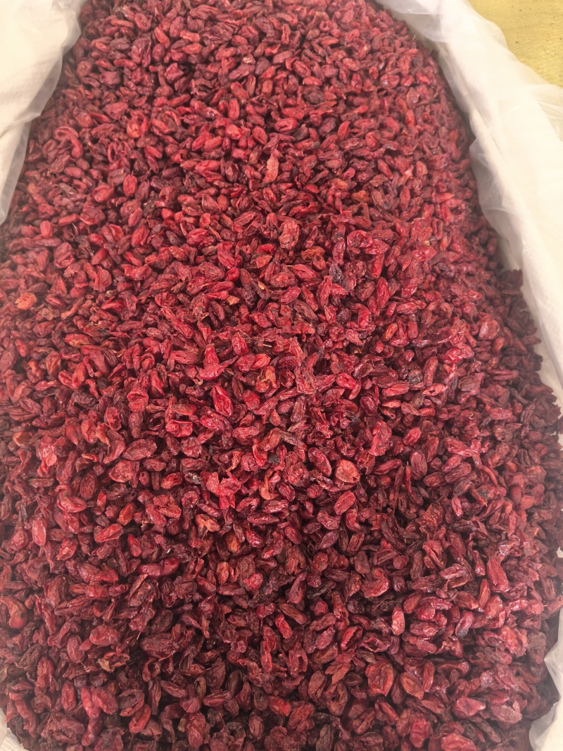 山萸肉山茱萸枣皮选货山茱萸多种规格大货供应