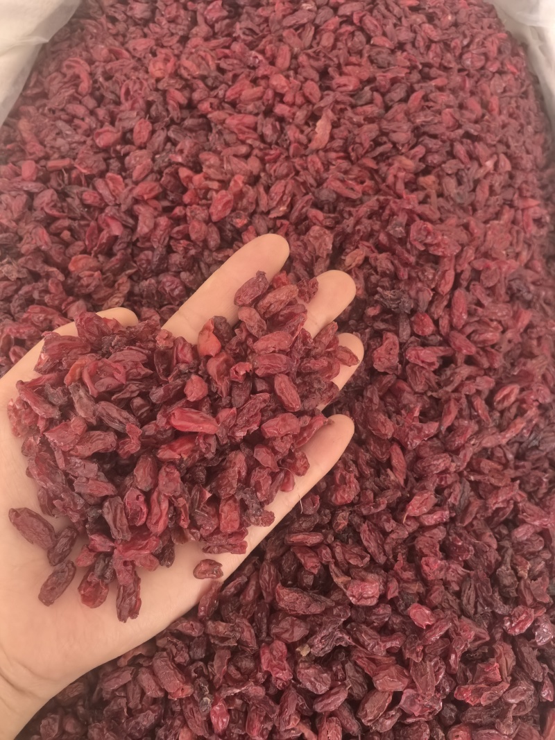 山萸肉山茱萸枣皮选货山茱萸多种规格大货供应