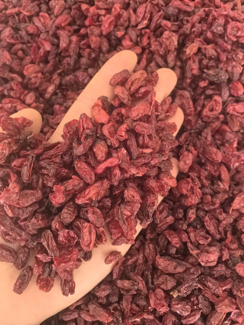 山萸肉山茱萸枣皮选货山茱萸多种规格大货供应