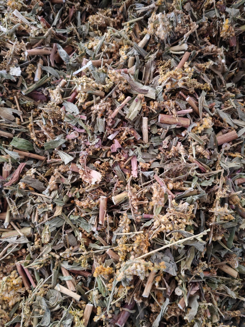一枝黄花