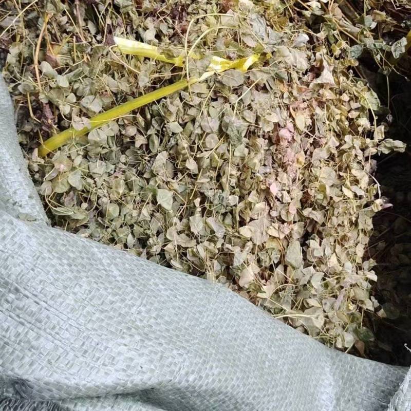 穿心草