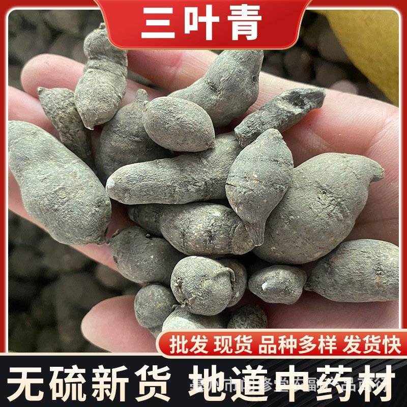 三叶青批发优质三叶青规格齐全产地直销量大价优