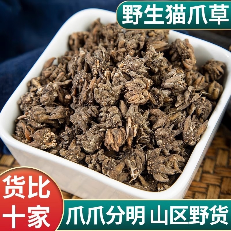 猫爪草批发优质猫爪草规格齐全量大价优可供大货