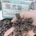 猫爪草批发优质猫爪草规格齐全量大价优可供大货