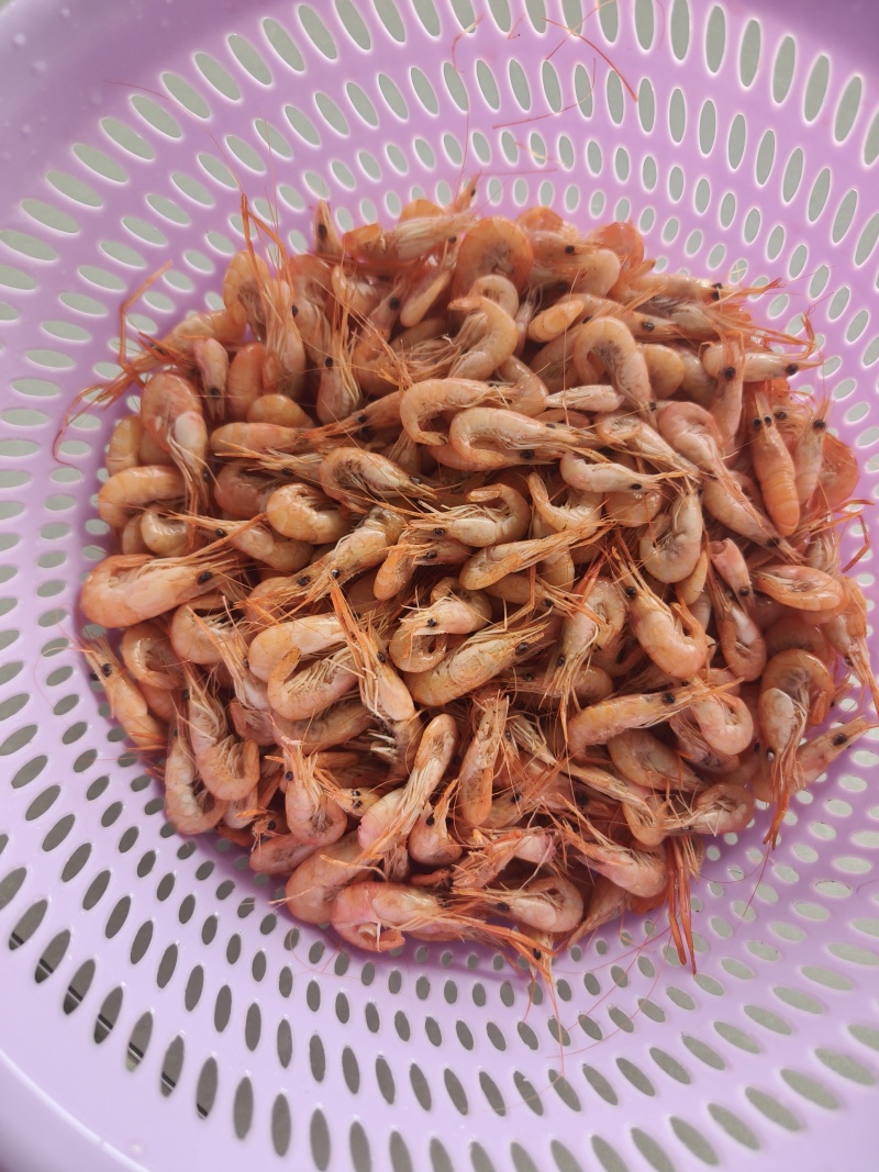 水煮河虾，人工挑选，专业水煮，鲜红美味长期大量有货供应