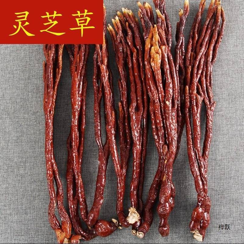 鹿茸芝鹿灵芝产地一手货源可供实体店批发