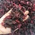 洛神花茶优质玫瑰茄规格齐全可供实体店量大价优