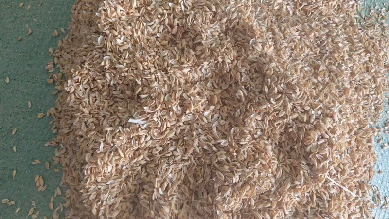 压缩稻壳173袋装8649散壳8980