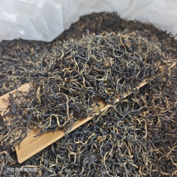 英德红茶英红九号春茶散茶