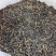英德红茶英红九号春茶散茶