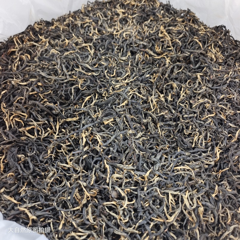 英德红茶英红九号春茶散茶