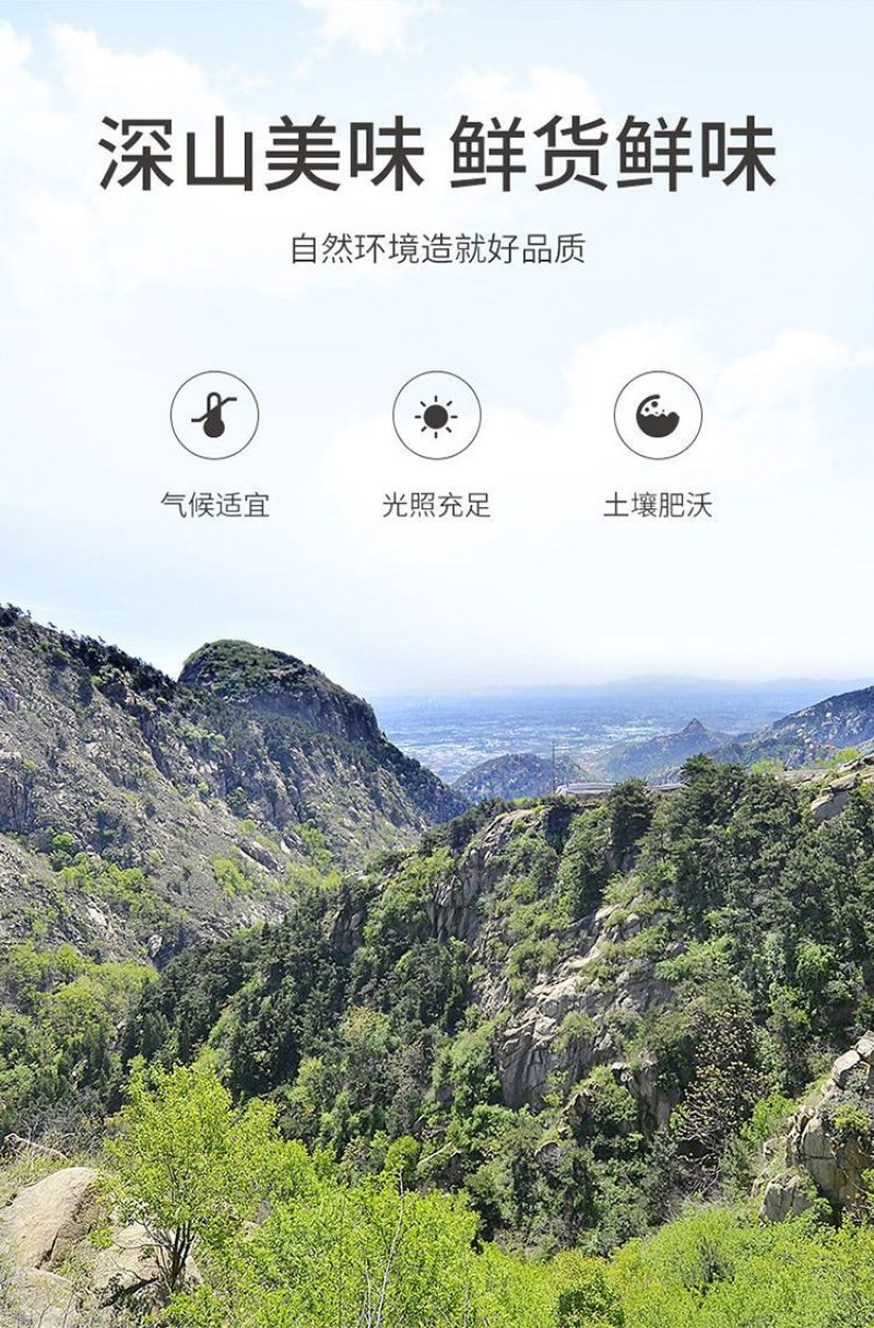 包邮【净重发货】鹿茸菇干货煲汤炖汤食材***家用菌类