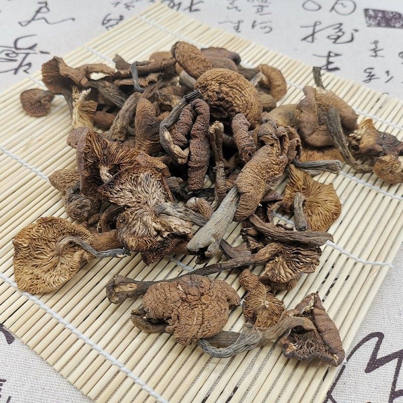 东北纯野生榛蘑农家自制嗮干小鸡炖榛蘑回味无穷