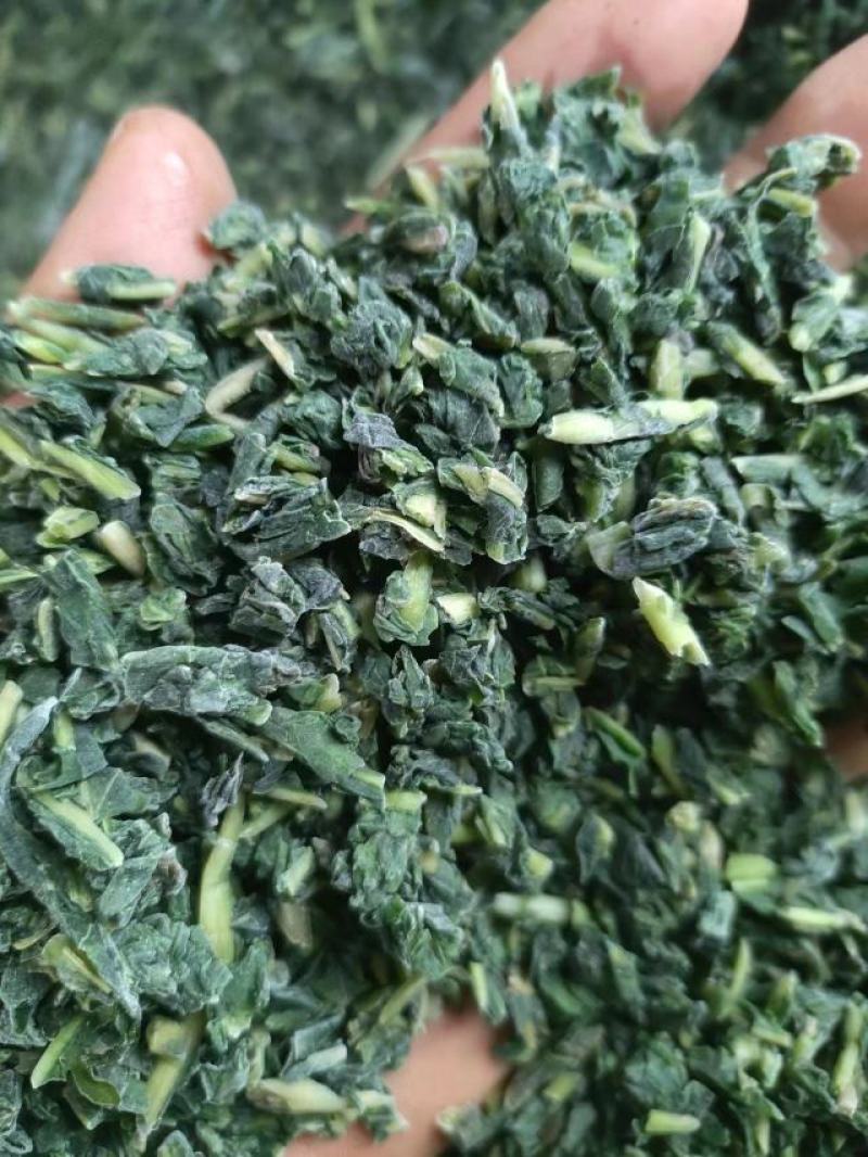 速冻蒲公英碎长期合作饺子包子菜团子食品厂