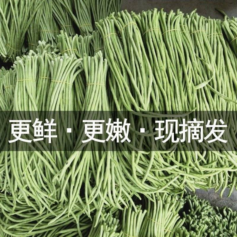 长豆角，基地直发，代收代办一条龙，产地直供