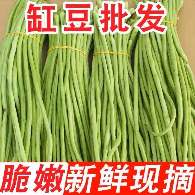 长豆角，基地直发，代收代办一条龙，产地直供