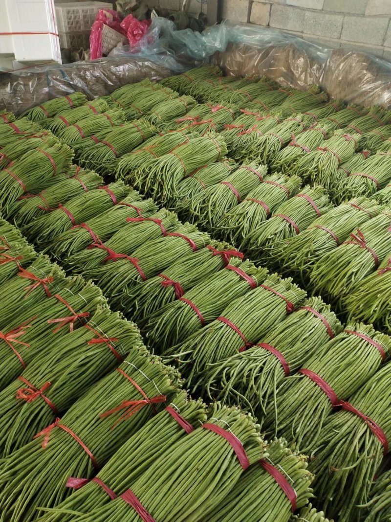 长豆角，基地直发，代收代办一条龙，产地直供