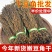 干豆角质量保证产地直供，欢迎各地老板前来考察
