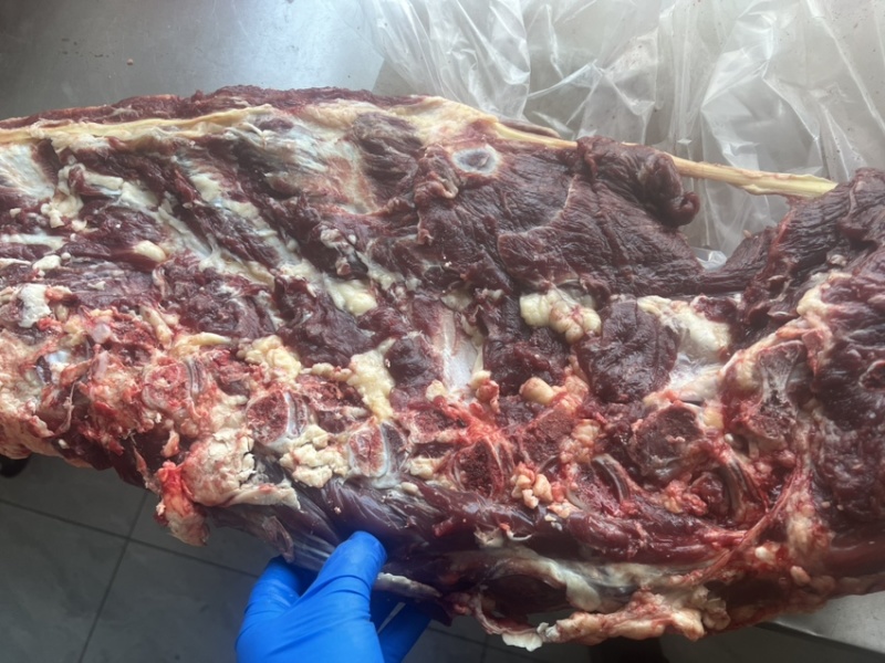 满肉牛蝎子