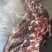 满肉牛蝎子