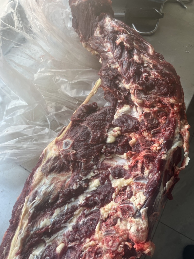 满肉牛蝎子