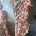 满肉牛蝎子