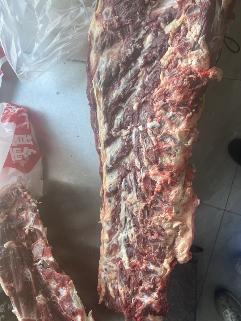 满肉牛蝎子