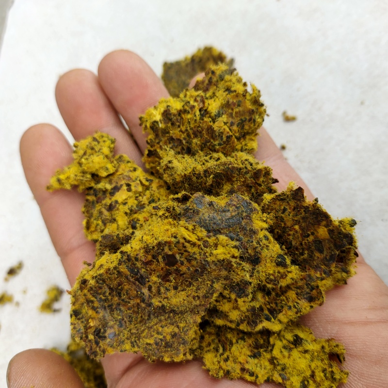 棉籽饼牛羊饲料育肥专用新疆棉籽饼好饲料