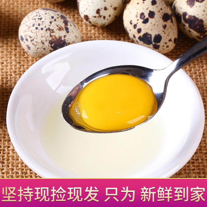 新鲜鹌鹑蛋生鲜农家人正宗杂粮喂养宝宝孕妇辅食产地直发49枚包