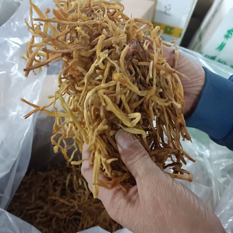东北纯野生黄花菜菌香味十足自然嗮干炖汤炒菜***干货黄花