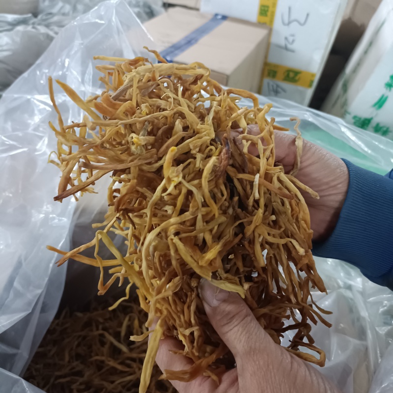 东北纯野生黄花菜菌香味十足自然嗮干炖汤炒菜***干货黄花
