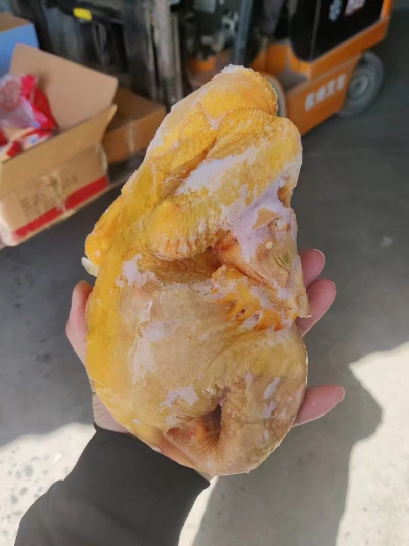 清远鸡