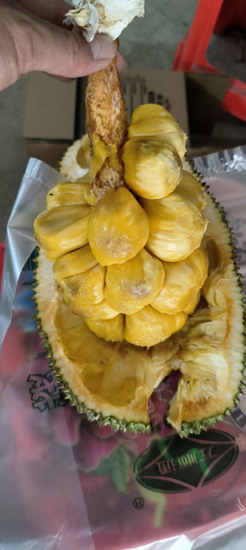 精选优质榴莲蜜，果肉饱满，颗颗成熟，开启味蕾狂欢。