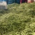 翠绿包毛豆大量上货，对接全国商超电商欢迎来电