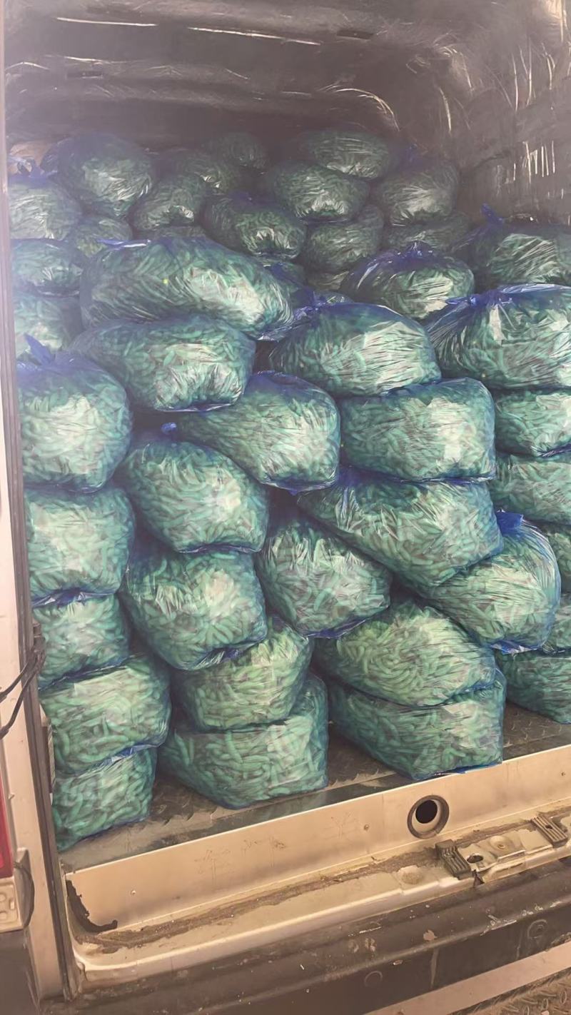 翠绿包毛豆大量上货，对接全国商超电商欢迎来电