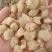 ***干贝瑶柱干贝质量好***食堂食品厂馅料