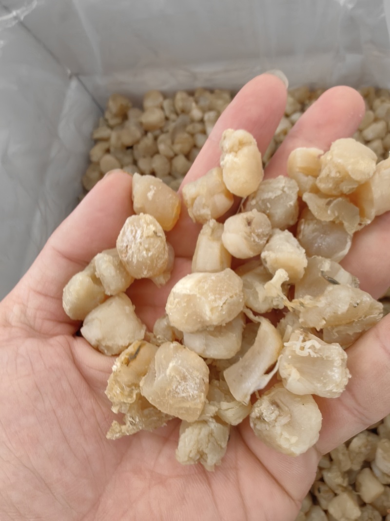 ***干贝瑶柱干贝质量好***食堂食品厂馅料